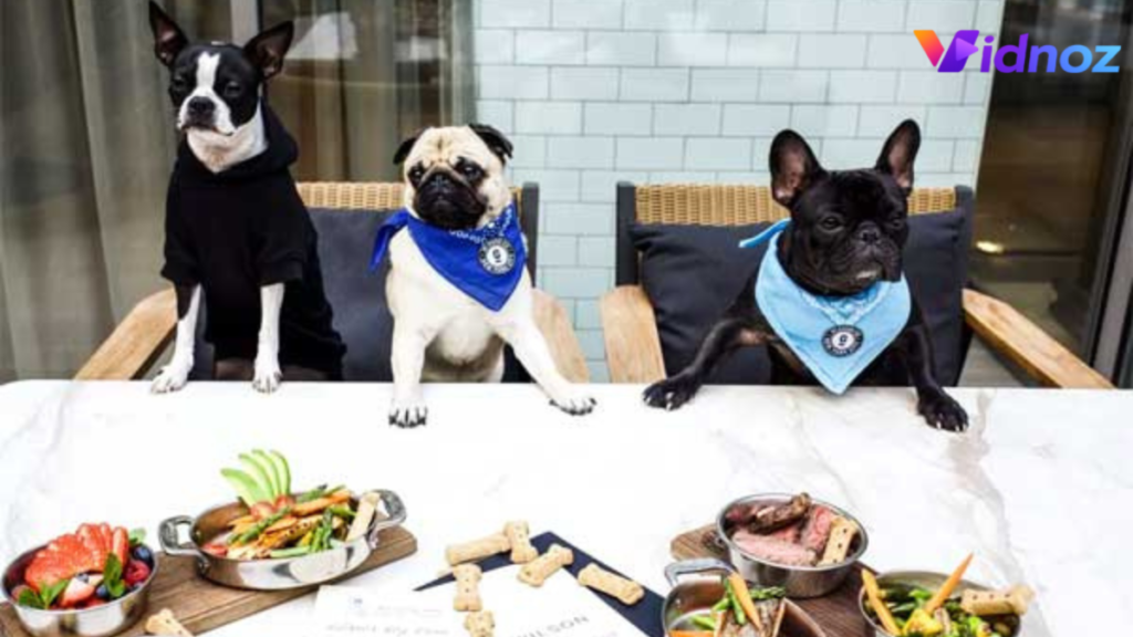 dog friendly restaurants near me