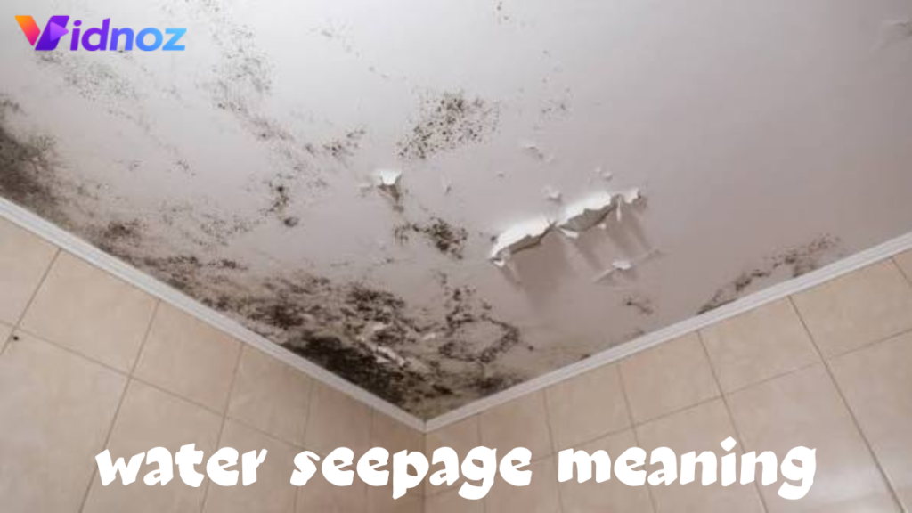water seepage meaning